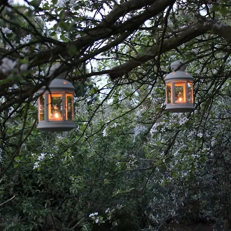 Bed and Breakfast Casa Do Pinheiro