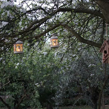 Casa Do Pinheiro Serra